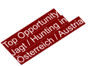 Top Opportunity Jagt / Hunting in sterreich / Austria